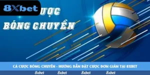 Cá cược bóng chuyền